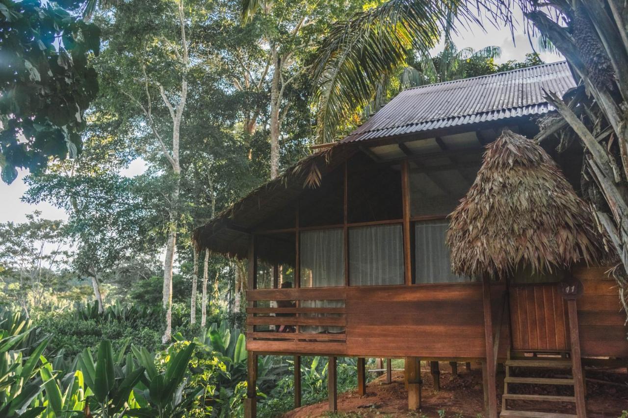 Wasai Tambopata Lodge Exterior foto